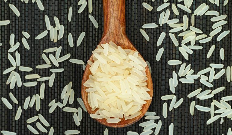 Giá lúa gạo hôm nay 11/5/2023: Điều chỉnh tăng giá ở vài giống lúa gạo