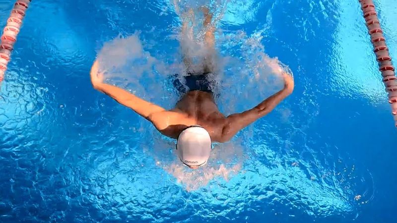 Bơi bướm - Butterfly stroke