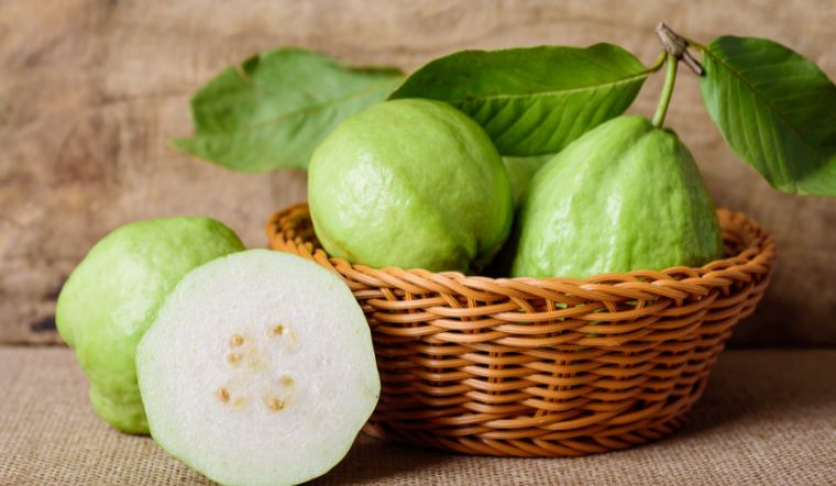 Tìm hiểu người bị tiểu đường ăn ổi được không? 