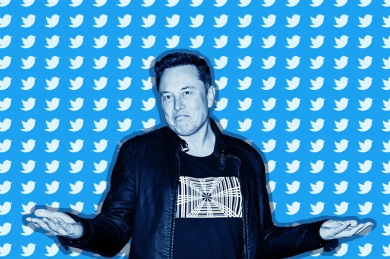 Elon Musk quyết định thôi chức vị CEO của Twitter theo số đông bình chọn 