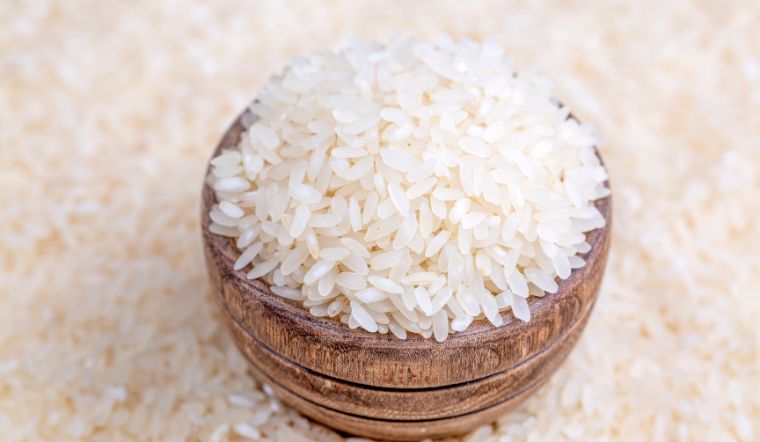 Giá lúa gạo hôm nay 12/5/2023: Giá lúa tăng nhẹ 200-300 đồng/kg