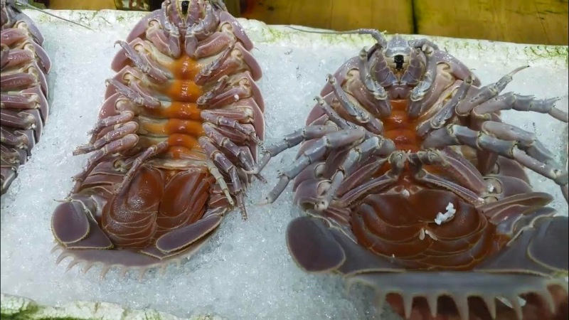 The price of sea bugs is around 1,700,000 - 2,000,000 dong/kg