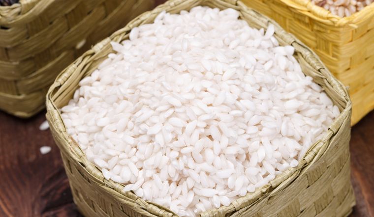 Giá lúa gạo hôm nay 13/5/2023: Ổn định trong ngày cuối tuần