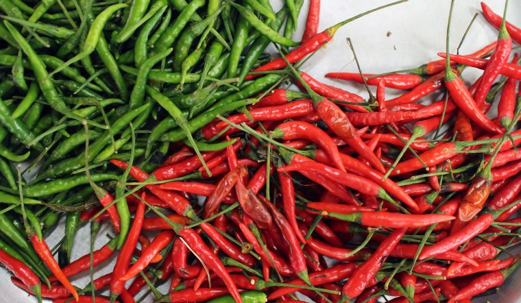 Giá ớt hôm nay 12/05/2023: Tiếp tục đứng yên trên cả nước