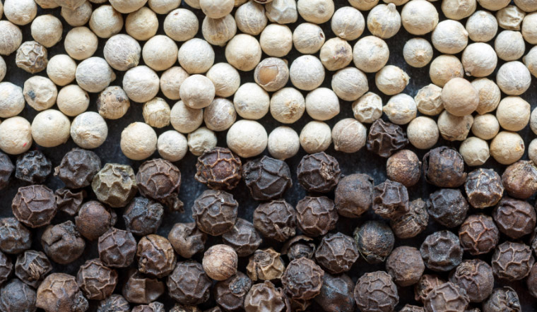 Giá tiêu hôm nay 15/5/2023: Tăng lại 1.000 đồng/kg tại các địa phương