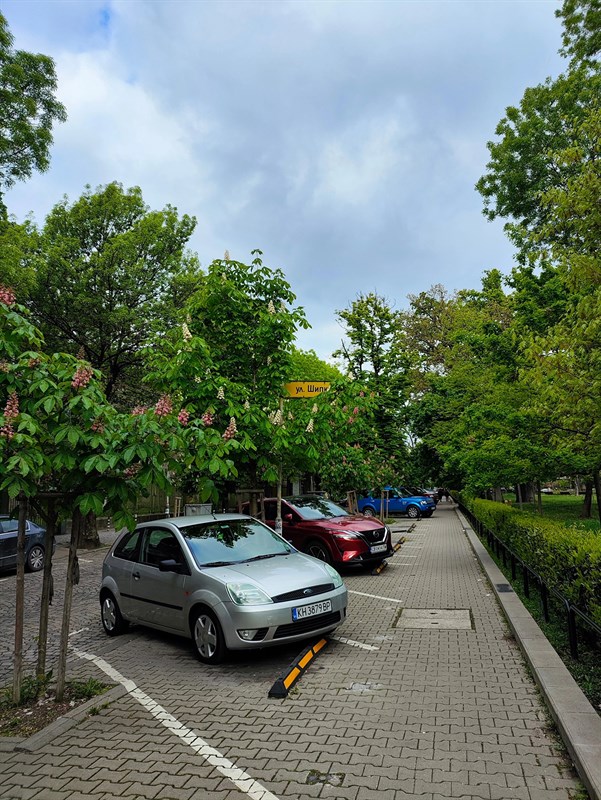 Ảnh chụp zoom 1X Ảnh chụp zoom 1X