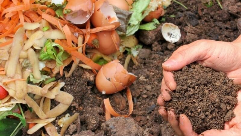 Learn how to make compost from waste