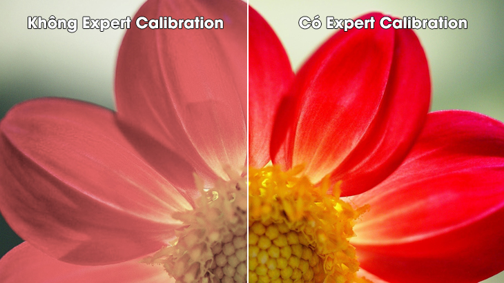 Cân chỉnh màu sắc Expert Calibration Cân chỉnh màu sắc Expert Calibration