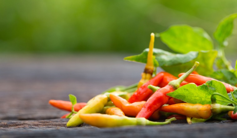 Giá ớt hôm nay 17/05/2023: Đi ngang so với hôm qua