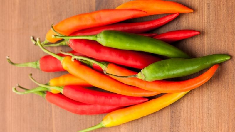 Giá ớt hôm nay 18/05/2023 mới nhất