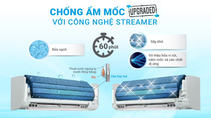 Hạn chế vi khuẩn và nấm mốc phát triển