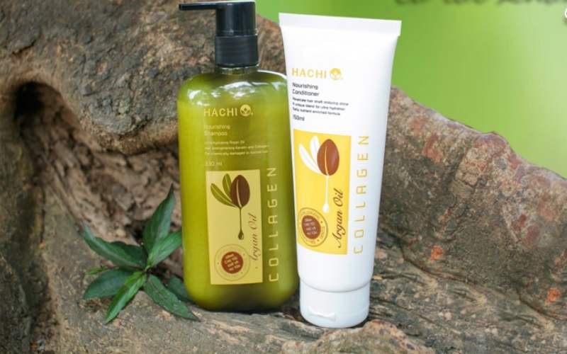 Dầu gội olive Hachi Anti-dandruff