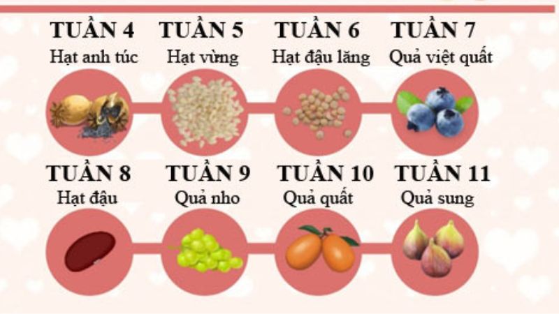 Quá trình hình thành loài mới ở một loài thực vật được mô tả ở hình sau  Biết rằng 2 loài A và B có mùa sinh sản trùng nhau nhưng hình