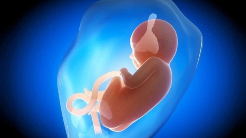 Tuần 1 đến tuần 4