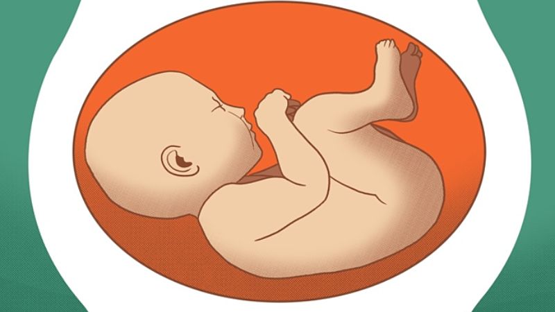 Tuần thứ 8 đến tuần 13