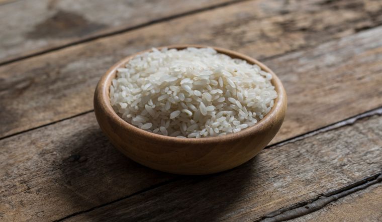 Giá lúa gạo hôm nay 19/5/2023: Tiếp tục duy trì mức ổn định