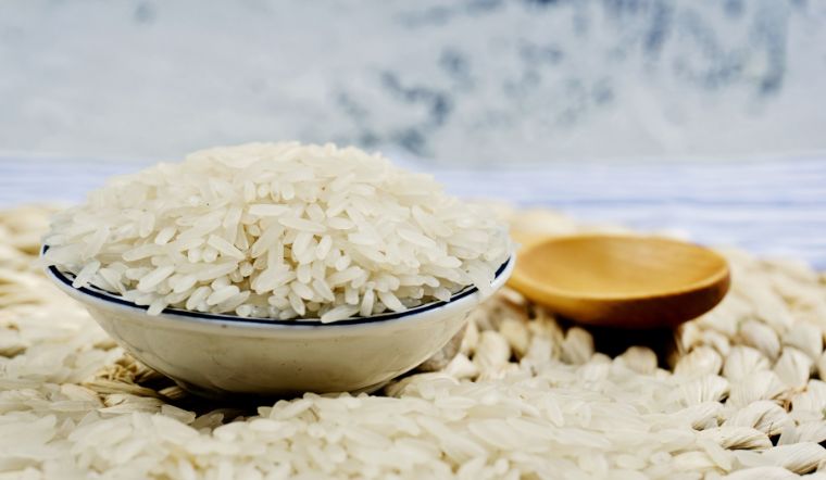 Giá lúa gạo hôm nay 22/5/2023: Không ghi nhận thay đổi