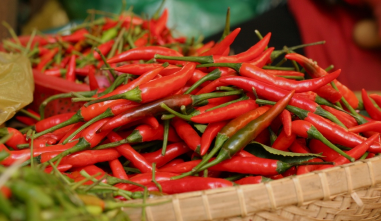 Giá ớt hôm nay 23/05/2023: Tạm thời đi ngang, không biến động nhiều
