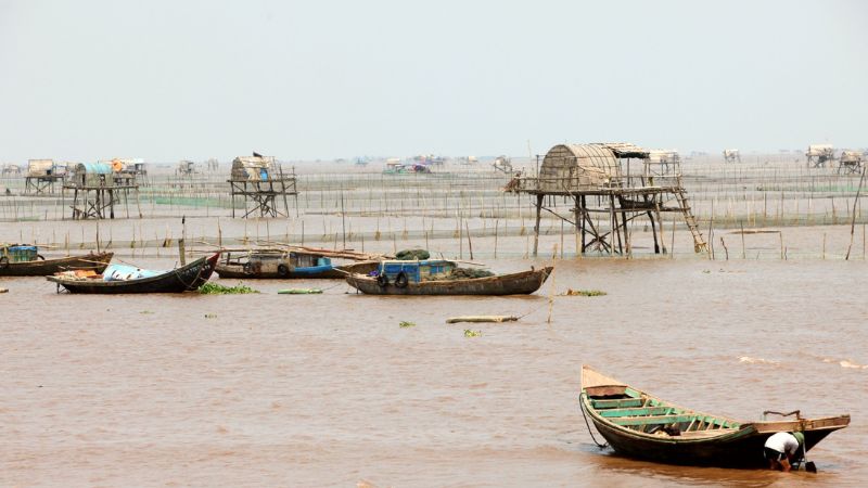 Hoạt động bắt ngao