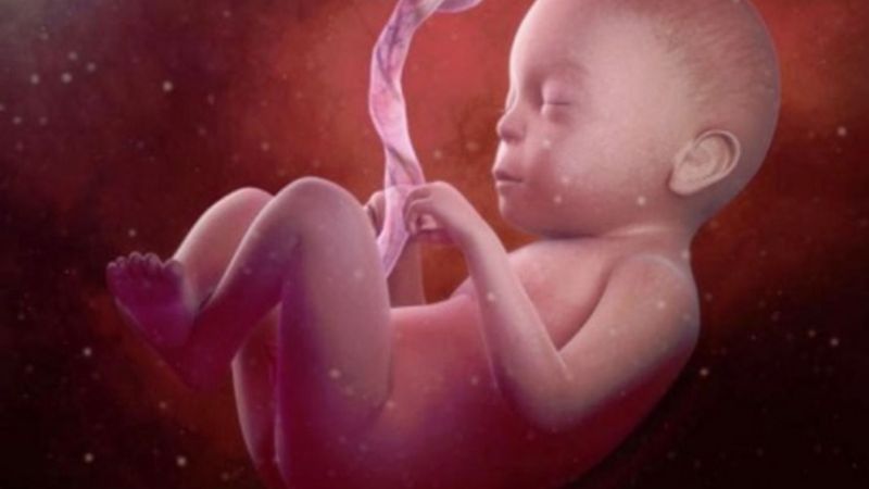 Nước ối là gì và vai trò của nước ối đối với thai nhi Nước ối là gì và vai trò của nước ối đối với thai nhi