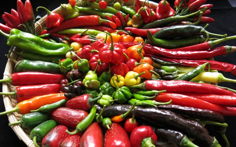 Giá ớt hôm nay 24/05