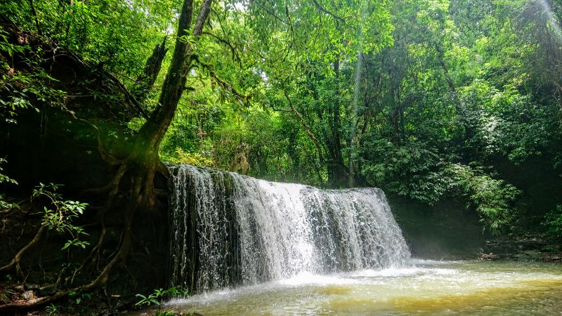 Thời điểm thích hợp để tham quan vườn Quốc gia Bù Gia Mập