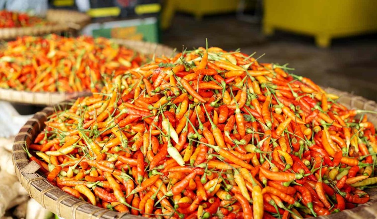 Giá ớt hôm nay 25/05/2023: Tiếp tục tăng thêm từ 1.000 - 2.000 đồng/kg