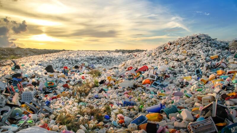Chủ đề ngày Môi trường Thế giới 2023