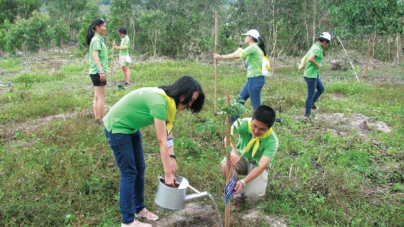 Ngày Môi trường Thế giới tại Việt Nam