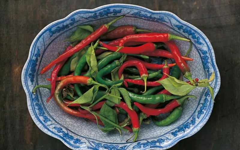 Giá ớt hôm nay 27/05