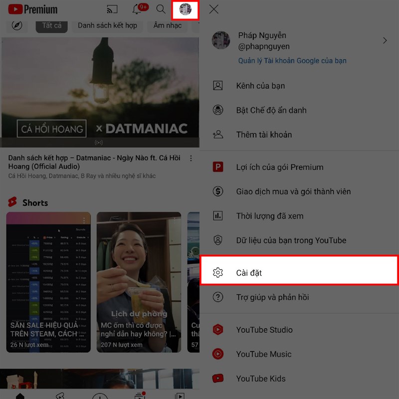 Picture in Picture trên YouTube Premium không hoạt động