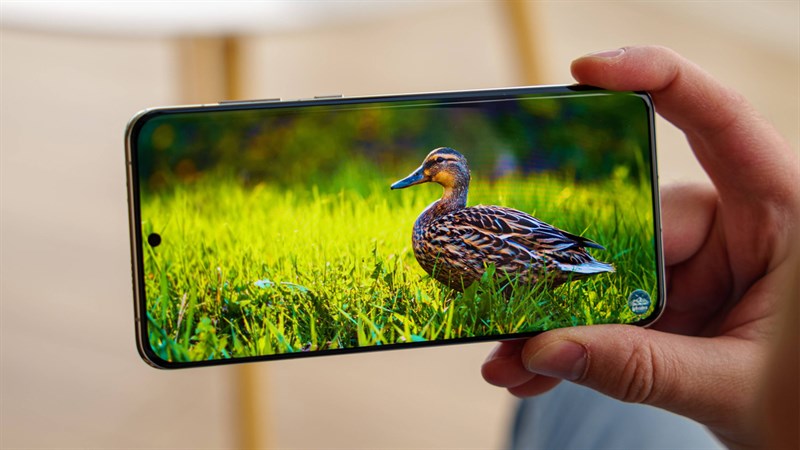 Huawei P60 Pro được trang bị màn hình LTPO OLED rộng 6.67 inch, độ phân giải Full HD+