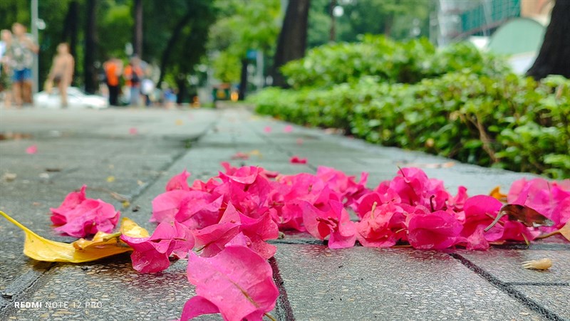 Ảnh chụp từ camera chính của Redmi Note 12 Pro trong điều kiện đủ sáng