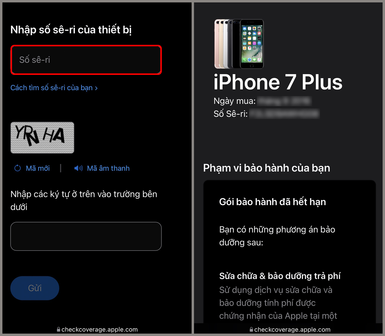 Cách kiểm tra iPhone 11 cũ cực đơn giản