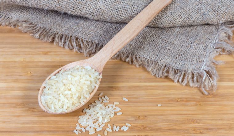 Giá lúa gạo hôm nay 29/5/2023: Vài giống lúa điều chỉnh giảm giá