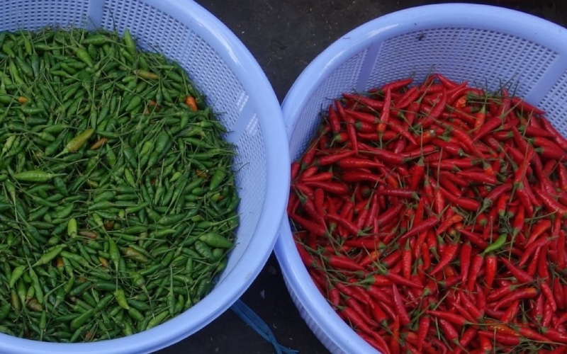 Giá ớt hôm nay 29/05 cập nhật mới nhất