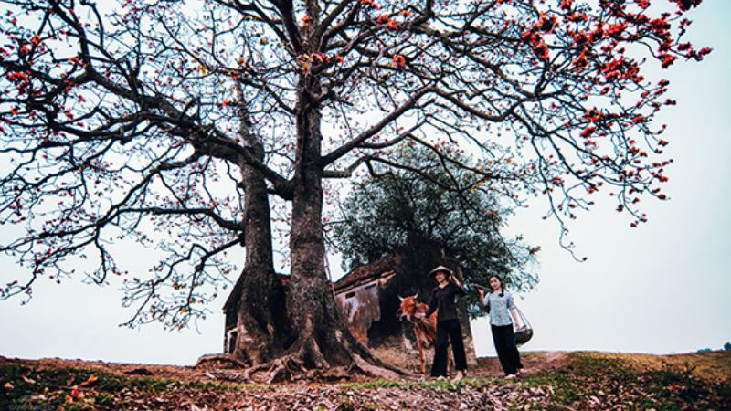 Tổng quan về Yên Mỹ