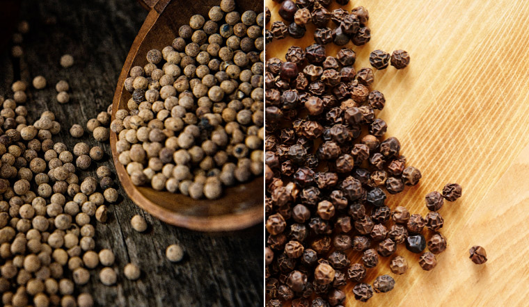 Giá tiêu hôm nay 30/5/2023: Đồng loạt tăng thêm 1.000 đồng/kg