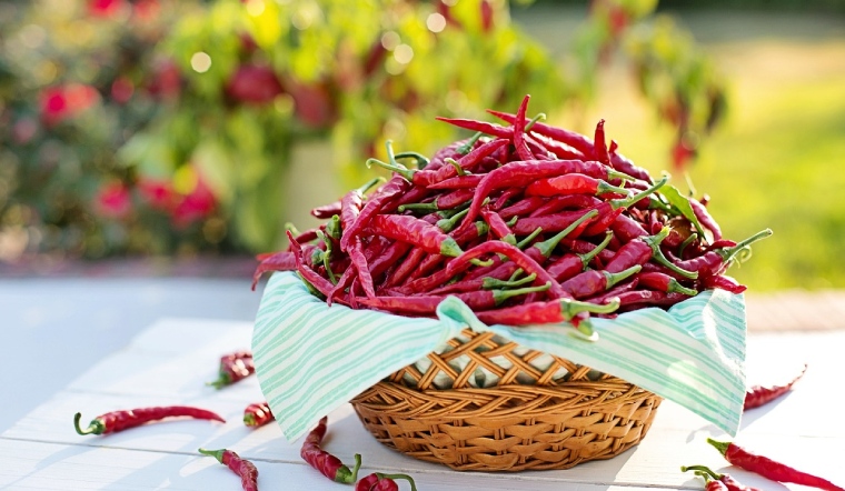 Giá ớt hôm nay 30/05/2023: Giá bán tương tự hôm qua