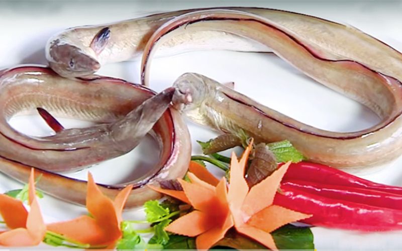 Cá dưa - loại cá nổi tiếng của xứ Thanh