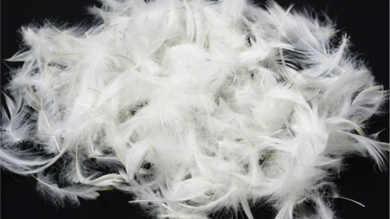 Note when using goose feather pillows