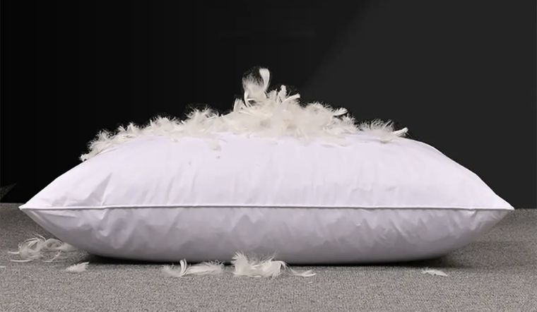 Gối lông vũ có giặt được không? Cách giặt gối đúng cách