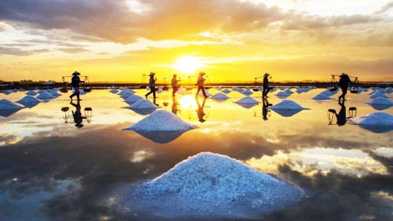 Bach Long Salt Field