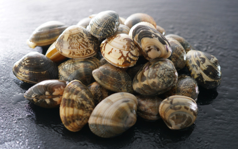 Cách chọn nghêu tươi ngon, chất lượng