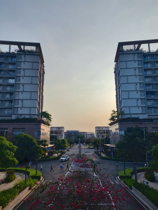 Ảnh chụp ngược sáng Ảnh chụp ngược sáng