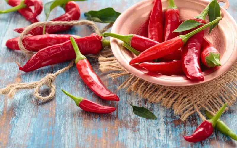 Giá ớt hôm nay 09/06/2023 mới nhất Giá ớt hôm nay 09/06/2023 mới nhất