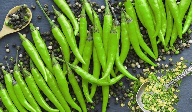 Giá ớt hôm nay 09/06/2023: Không đổi so với hôm qua