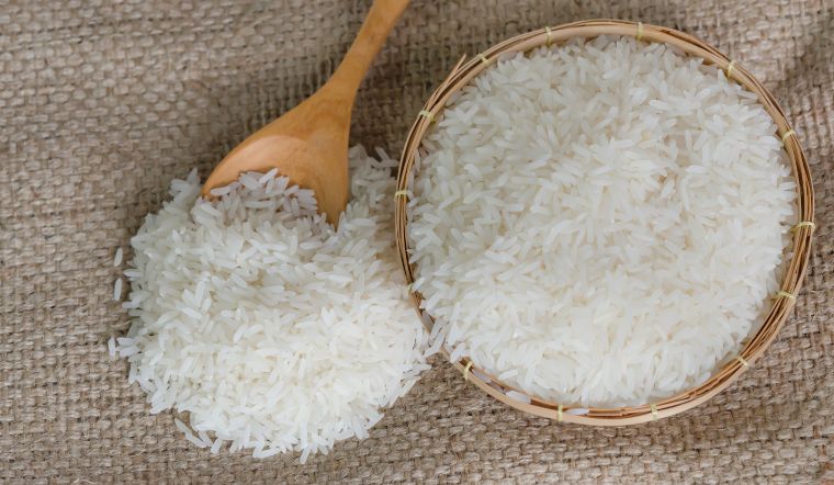 Giá lúa gạo hôm nay 10/6/2023: Đi ngang trong ngày cuối tuần