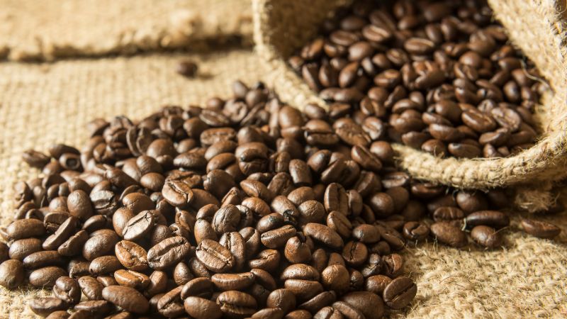 Giá cà phê trong nước hôm nay Giá cà phê trong nước hôm nay