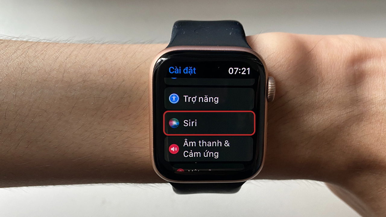 Cách sử dụng Siri trên Apple Watch